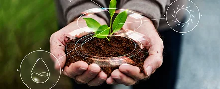 The Ecosystem