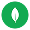 MongoDB