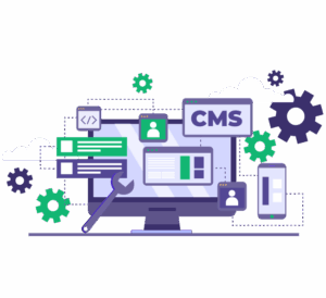 Web Design and Development Services
